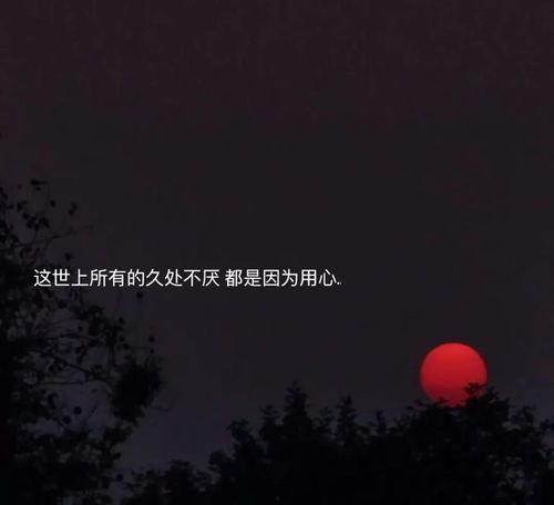 傍晚吃瓜文案怎么写,尽享夏日清凉时光