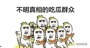 小铁吃瓜