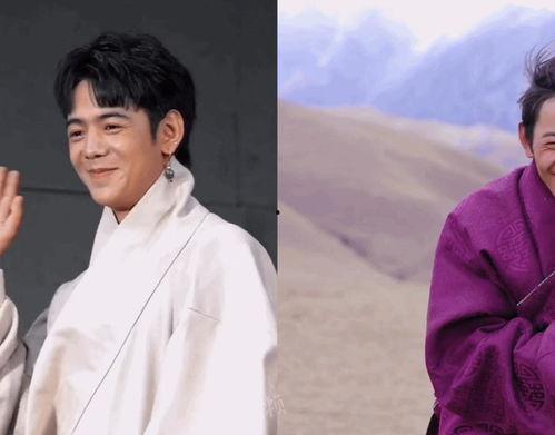 吃瓜白月严佩佩,揭秘娱乐圈的“瓜田”风云