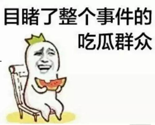 南方北方带你吃瓜,一场别开生面的“吃瓜”之旅