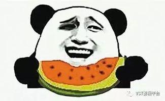 源远流长吃瓜群众,揭秘吃瓜群众的演变与影响
