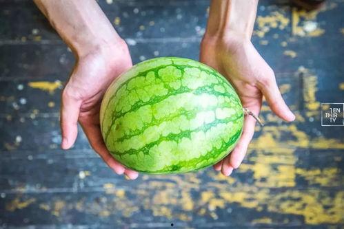 吃瓜群众的4种瓜,笑料百出，趣味横生