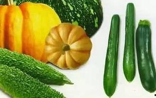 吃瓜新事物