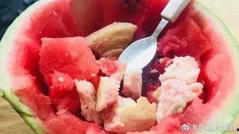 吃瓜群众蔬菜干