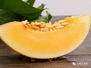 雪瓜能留多久吃,从采摘到品尝，尽享美味时光