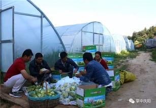 都昌吃瓜群众